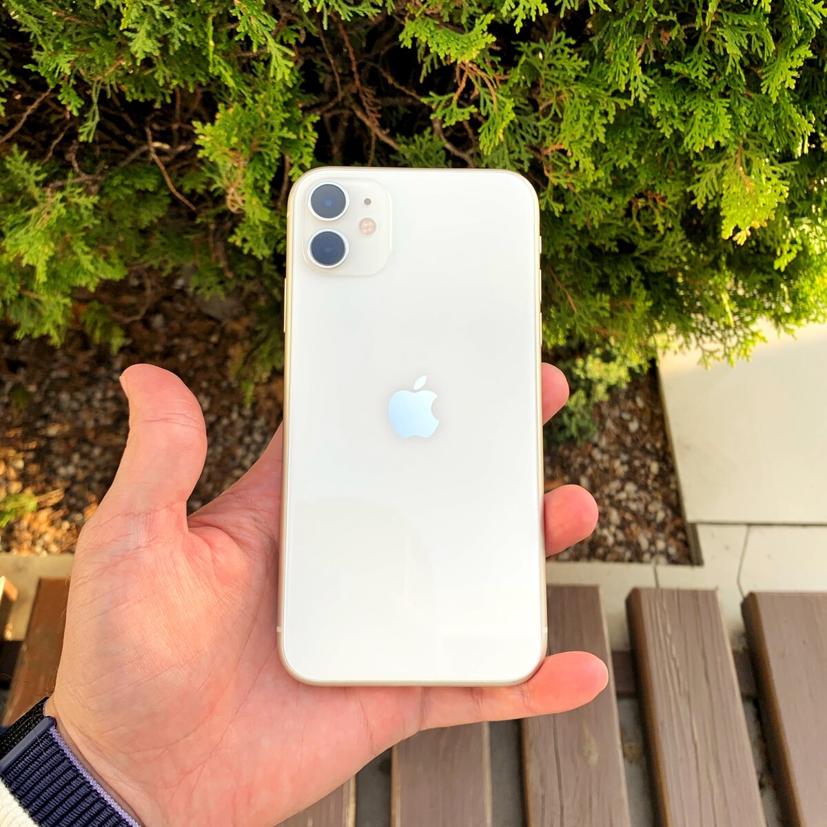 Apple iPhone 11 64Gb White (вживаний)