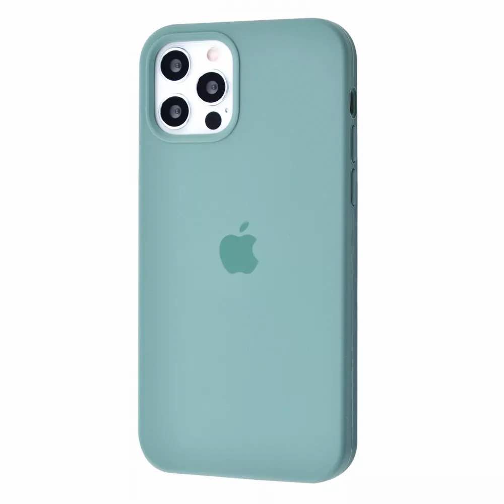 Чохол MaiKai Silicone для iPhone 12/12 Pro - Cactus